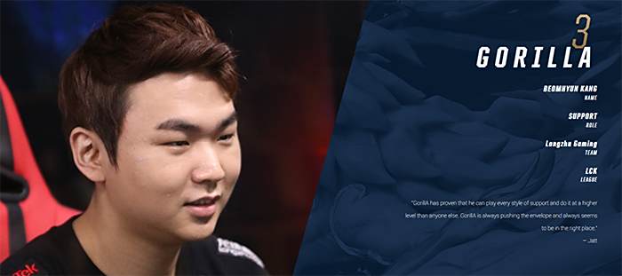 三中卫体系 三中卫体系