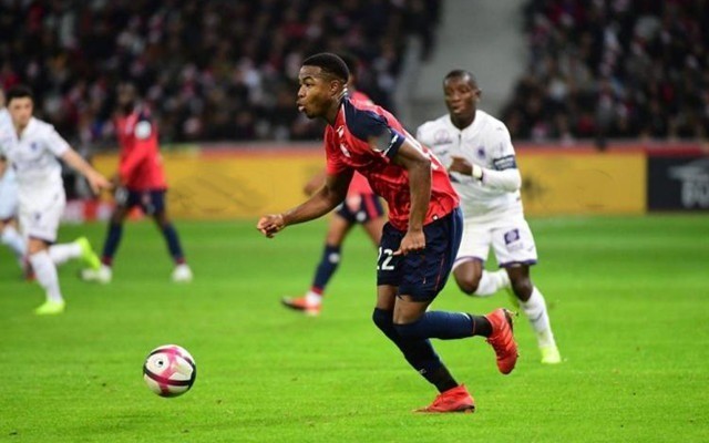 人开始关注 人开始关注